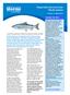 Pacific salmon. Responsible Sourcing Guide: Version 3 March 2011 BUYERS TOP TIPS