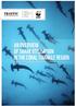 WORKING TOGETHER FOR SUSTAINABLE SHARK FISHERIES AN OVERVIEW OF SHARK UTILISATION IN THE CORAL TRIANGLE REGION