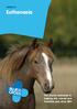 HORSE 21. Euthanasia. The charity dedicated to helping sick, injured and homeless pets since 1897.
