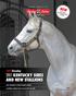 2017 KENTUCKY SIRES AND NEW STALLIONS TAPIT CONTINUES TO REIGN IN NORTH AMERICA CALIFORNIA CHROME HEADS CLASS OF NEW STALLIONS