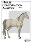 HORSE CONFORMATION ANALYSIS EB1613