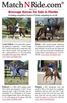 MARCH 2017 Dressage Horses For Sale in Florida. Including competition horses in Florida competing on circuit.