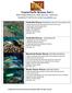 Tropical Pacific Wrasses, Part 1 REEF Fishinar March 14, 2018, Amy Lee - Instructor Questions? Feel free to contact