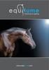 Introduction to the Equilume Stable Light