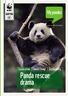My pandas YOUR ADOPTION UPDATE. Conservation. Climate Change. Sustainability. Panda rescue drama