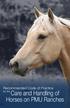 Recommended Code of Practice for the. Care and Handling of Horses on PMU Ranches