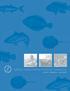 Atlantic States Marine Fisheries Commission 2005 ANNUAL REPORT