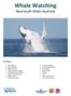 Whale Watching. New South Wales Australia. Including