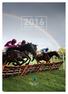 Horse Racing Ireland Annual Report 2016