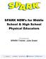 SPARK NEW s for Middle School & High School Physical Educators. Presented By: SPARK Trainer, Julie Green