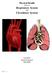 Physical Health and your Respiratory System and Circulatory System
