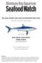 Blue shark, Shortfin mako shark and Dolphinfish (Mahi mahi)