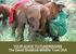 YOUR GUIDE TO FUNDRAISING The David Sheldrick Wildlife Trust USA