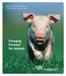 2006 HSUS Annual Report Celebrating Animals Confronting Cruelty. Charging Forward for Animals