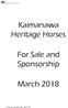 Kaimanawa Heritage Horses