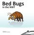 Bed Bugs. in the NWT. February 2011
