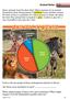 Rothschild s giraffe. Kenyan lions. Look at the pie graph of these endangered animals in Kenya.