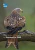 wpo\np\bop persecution in Scotland 2009\5647 The illegal killing of birds of prey in Scotland in 2009