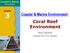 Coastal & Marine Environment. Chapter. Coral Reef. Environment. Mazen Abualtayef Assistant Prof., IUG, Palestine