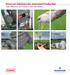 Emerson Solutions for Ammonia Production Gain efficiency and enhance your operations