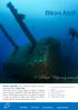 Bikini Atoll. The wreck paradise of the Pacific Ocean 250 aircraft wrecks 60 ship wrecks Sharks and mantas World War II history