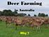 Deer Farming. in Australia. Why?