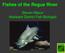 Fishes of the Rogue River. Steven Mazur Assistant District Fish Biologist