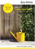 Spring Maroubra Property Market Report COURTESY OF RAY WHITE MAROUBRA SOUTH COOGEE