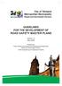 GUIDELINES FOR THE DEVELOPMENT OF ROAD SAFETY MASTER PLANS