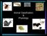 Animal Classification & Physiology