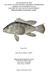 Black Sea Bass (Centropristis striata)