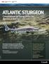 ATLANTIC STURGEON. Consultations on listing under the Species at Risk Act