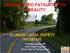 DRIVING ZERO FATALITIES TO A REALITY ILLINOIS LOCAL SAFETY INITIATIVE