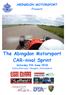 The Abingdon Motorsport CAR-nival Sprint