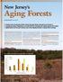 Aging Forests. New Jersey's