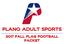 PLANO ADULT SPORTS 2017 FALL FLAG FOOTBALL PACKET