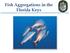 Fish Aggregations in the Florida Keys