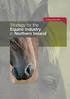 Strategy for the Equine Industry in Northern Ireland. Published March 2007