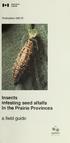 1*1 Agriculture. Canada. Publication 1881/E. Insects. infesting seed alfalfa. in the Prairie Provinces. a field guide