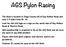 AGS Pylon Racing. The purpose of the event is to promote affordable pylon racing for the Aero Guidance Society and other RC pilots.