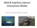 Wild & Hatchery Salmon Interactions Model. Pete Rand & Bob Lessard