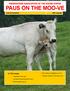 PIEDMONTESE ASSOCIATION OF THE UNITED STATES PAUS ON THE MOO-VE