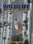 RECOMMENDATIONS TO PRESIDENT GEORGE W. BUSH AMERICAN WILDLIFE CONSERVATION PARTNERS