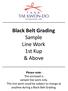 Black Belt Grading Sample Line Work 1st Kup & Above