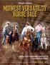Midwest Versatility Horse sale