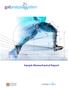 Sample Biomechanical Report