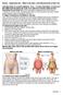 Review Supplement Info Waist-to hip Ratio, Gurth Measurements & Skin Fold