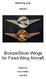 Bronze/Silver Wings for Fixed Wing Aircraft