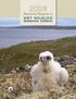 Annual Report of NWT WILDLIFE RESEARCH PERMITS. Photo Credit: Environment and Natural Resources