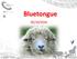 Bluetongue 05/10/2016 COVEPI - CESME